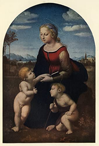 Pintura murales decor en lienzo de alta calidad: el hermoso jardinero de Raphael en 60x90cm