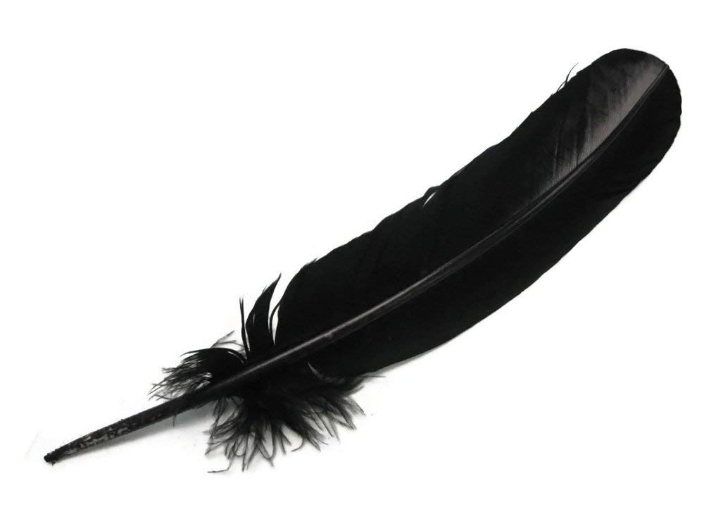 TIPTOP DECORATION Natural Dyed Goose Quills 12-14 Inch (5 Pieces) (Black) 2