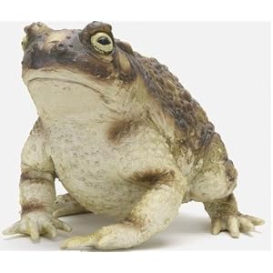 メガシリーズ ガマガエル カエル 蛙