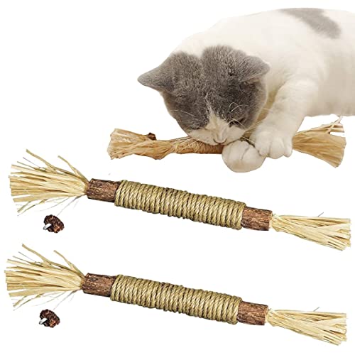 Matatatabi,Katzenminze Sticks,Katze Kauspielzeug,Katzensticks Zur Zahnreinigung,Kausticks für Katzen,Katzenminze Sticks Bio,Katzen Zahnpflege Spielzeug,Kausticks Set,Katzen Sticks,2 PCS