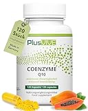 Plusvive