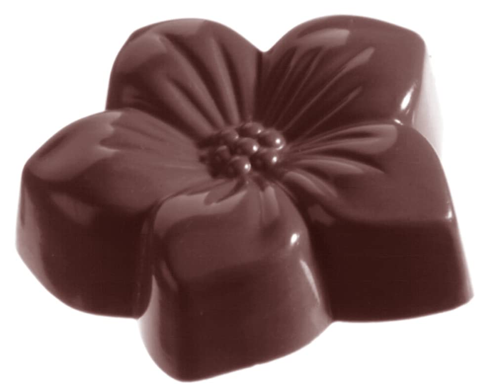 Amazon.com: Chocolate World 1060 Clear Polycarbonate Chocolate