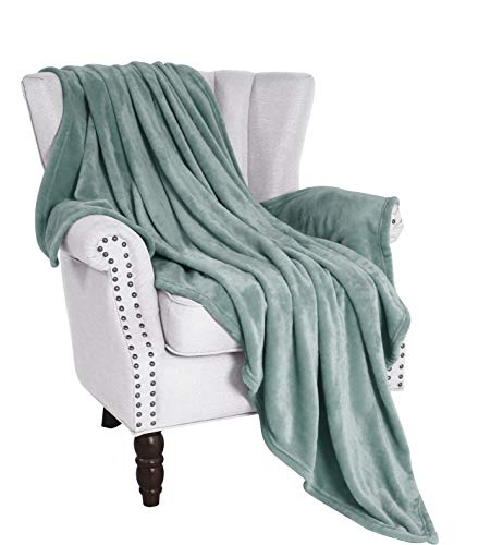 Exclusivo Mezcla Large Flannel Fleece Velvet Plush Throw Blanket – 50" x 70"