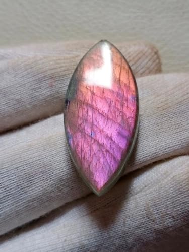 Labradorite violette naturelle en cabochon marquise pour fabrication bague et collier