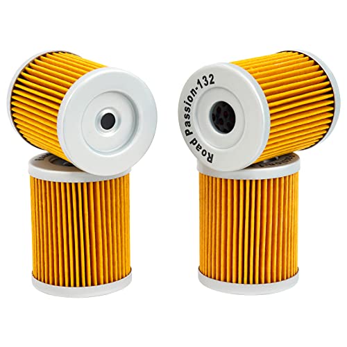 Road Passion Filtro Olio per AN400 Burgman 400