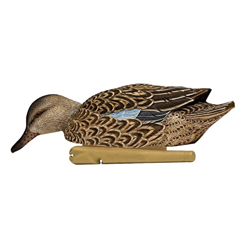 Avian-X Topflight Early Season Teal Durable Ultra Realistic Floating Hunting Duck Decoys, Pack Of 6, Avx8079 #TOP4