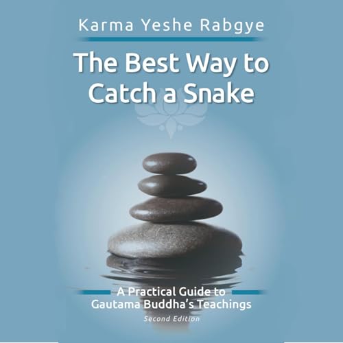 『The Best Way to Catch a Snake』のカバーアート