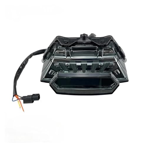 Luz trasera de freno integrada con intermitentes LED ahumados