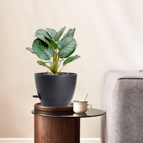 WSMKSZ 10 inch Self Watering Pots, 2 Pack Plastic Planters with Mesh Drainage Holes for Garden Plants and Flower, Plants Pots with Deep Reservoir for Indoor Outdoor Plants, Black by WSMKSZ - Image 2