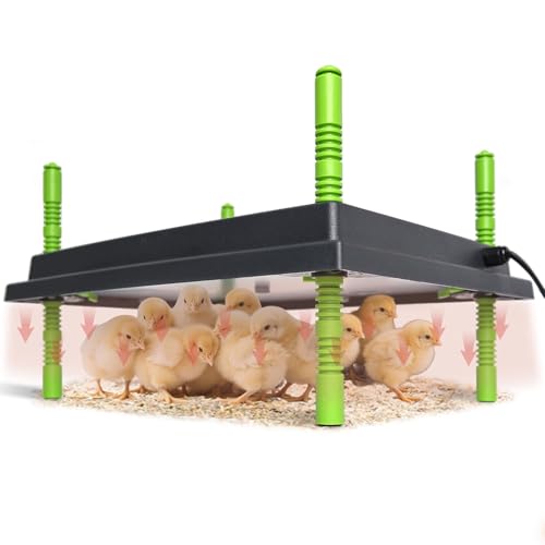Shaledig Chick Brooder Heater Plate 12x16 Warmer Brooder Plate for Chicks with Adjustable Height 30W Temperature Control Brooder Heating Plate for 40 Baby Chicks Duck