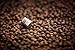 Cap'Mundo Paris Espresso Capsules Variety Pack, 50 Single Cup Coffee Pods Compatible with Nespresso Original Machines, Specialty Grade and Artisan Slow-Roasted in France