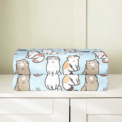 Erosebridal Cat Fleece Blanket Baby Size, Kawaii Garfield Persian Cat Fuzzy Blanket For Kids Boys Girls, Paw Print Love Heart Throw Blanket, Cartoon Animals Soft Flannel Blanket , Blue #TOP3