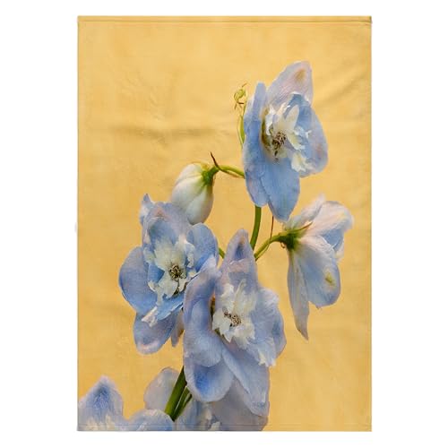 3dRose 22x30 Bath Hand Pool Towel - Netherlands. Delphinium Parfait Flowers, World Horticultural Expo. Flower