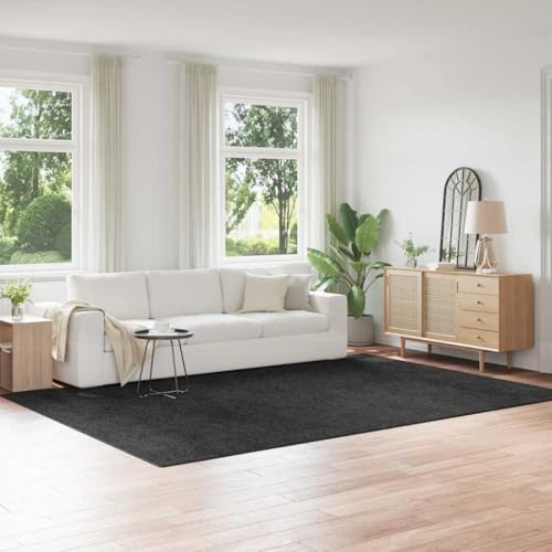 Alfombra Shaggy Gris Oscuro 240x340 cm QUAHEAS Antideslizante 2