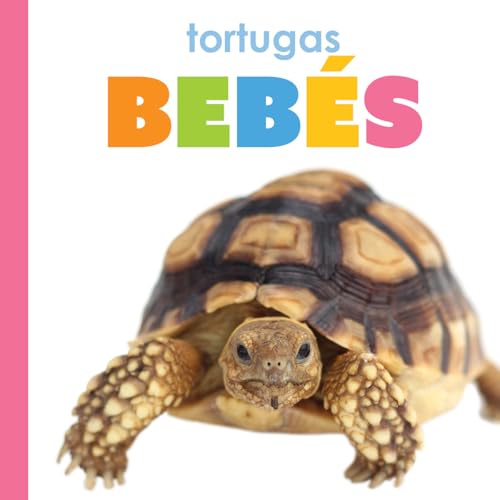 Tortugas bebes (Spanish Edition)
