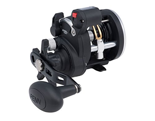 Penn Rival Level Wind Conventional Fishing Reel