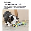 Dental and Teething Dog Chew Toys