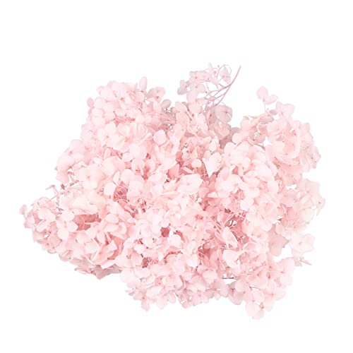 Cabilock 1paquete Pétalos De Hortensia Secos Naturales De Color Rosa para Decoración De Bodas y Fiestas para Manualidades y Arte De Uñas