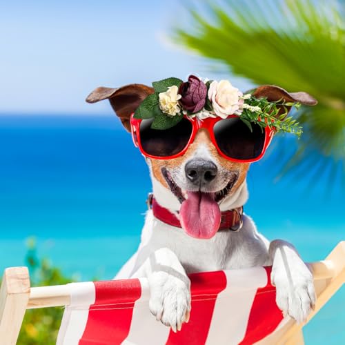 Corona floral artificial para perros y gatos miniatura 3