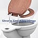 DALQUIS 1 Set Universal Toilet Seat Hinges, Chrome-Plated Metal Hinges, Toilet Seat Replacement Parts with Bolts Screws and Nuts for Bathrooms, Hotels, Public Places