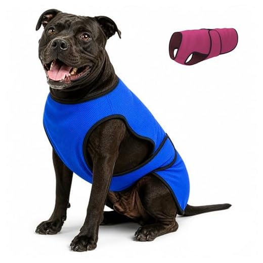 Lightweight Dog Cooling Vest in Dark Blue