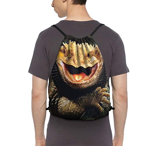 https://m.media-amazon.com/images/I/41ab6-PLTIL._SL500_.jpg