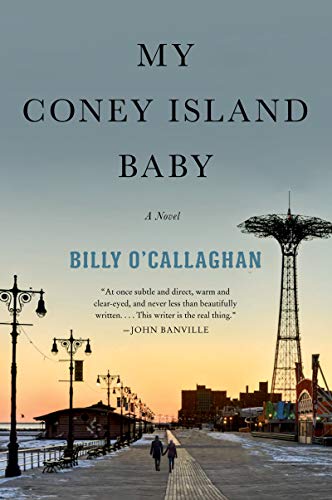 My Coney Island Baby: An Intimate Novel About Middle-Aged Lovers and Decades of Secret, Illicit Romance