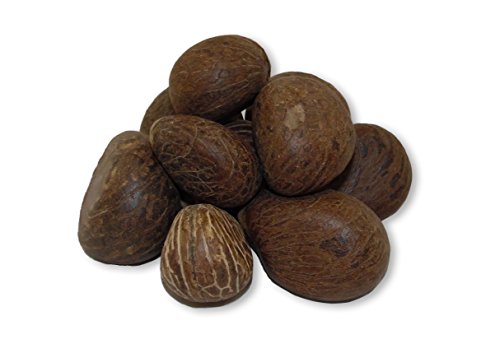 Bag of 10-Eco-friendly, easy to carve tagua nuts