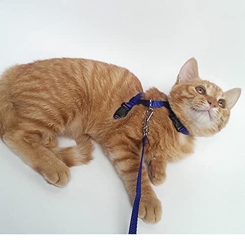 Image of 2 Pcs Adjustable Bunny Rabbit Harness with Leash, Cat, Hamster, Red and Blue, Size 18-26cm (neck), 20-35cm (bust), Playful /Whimsical Style, Multi-species Fitting