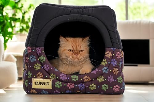 Cama iglu toca para cachorro e gato, cama 2x1 para cachorro ou gato com almofada, TAM. G
