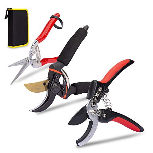 KOTTO 3 Pack Garden Pruner Shears Garden Tools Pruning Snips Set - Floral Scissors and Bypass pruners - Precise Pruning Flowers, Fruit Trees, Bonsai, Grapes - Carbon Steel Blades - Safety Lock Design