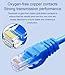 MONK CABLES | Heavy-Duty CAT6 Ethernet Cable | UTP, 10GBPS | 100% Pure Copper Conductors | High Performance & Stable Bandwidth (Black, 3ft)