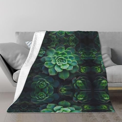 Couverture en peluche compacte et douce pour lit et voyages - 2