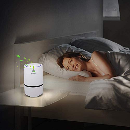https://m.media-amazon.com/images/I/41abF5SX2ML._SL500_.jpg