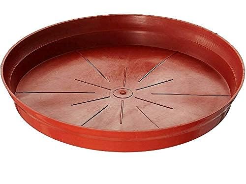GREENGROW Plastic Pot Saucer, Base Plate Planter Tray (Brown, 6-inch) - Set of 12 (Brown) (B0CGTZN9Y3) Amazon Price History, Amazon Price Tracker