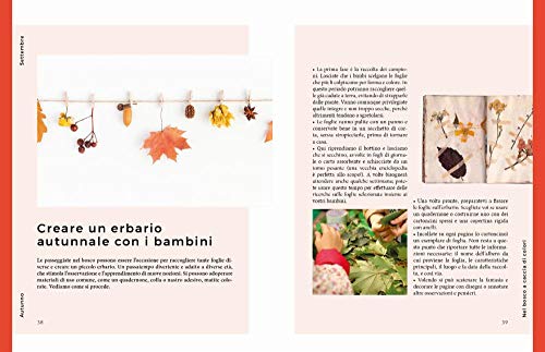 Autunno. Vita E Cucina Di Stagione - 5