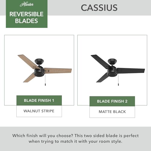 Image of Hunter Cassius, Outdoor or Indoor, Ceiling Fan, 44 inch, Matte Black