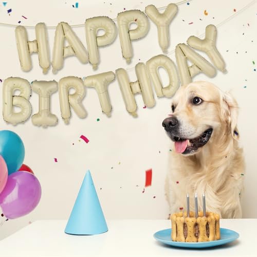 Image of Beige Happy Birthday Balloons Banner 16 Inch Mylar Foil Letters