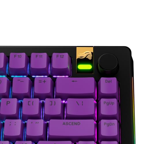 Image of GLORIOUS Gaming - GPBT Basics (PBT Keycaps), Epic Purple, No Fade Dye-Sublimated, for Custom Mechanical Keyboards, Fits 100%, 75% 65% 60%, Fits ANSI & ISO, Supports Windows & macOS - English (US)