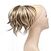 Onedor 12 inch Premium Synthetic Adjustable & Customizable Updo Style Ponytail Hair Extension with Clip on Claw Attachment (AB461)