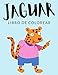 Jaguar Libro de Colorear: Libro de Colorear Jaguar, Más de 30 Páginas Para Colorear, Panthera Pardus, Panthera onca Libro para Colorear para Niños, ... - 🔥 Horas de Diversión Garantizadas! ✅ 🇪🇦