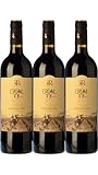 Erial TF – Vino Tinto de Autor D.O. Ribera del Duero | Pack de 3 Botellas (75 cl) | Envío Gratis | Tinta Fina de Viñas Centenarias