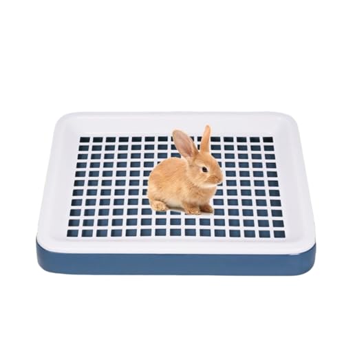  gC ybggC gC bggC gCbVfUC 25*19.5*3cm ~j gCg[jO p (CG[) ()