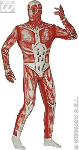 Costume corpo muscolare tuta, "scuoiati vivi". " Dimensioni: L "