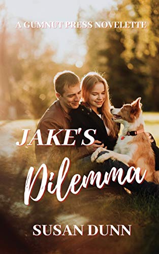 Jake's Dilemma view 2
