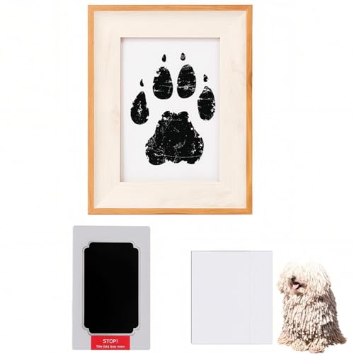 Lifetips Rh[iKomondorj ybgp  X^v Lbg ^  ``X^v `쐬Lbg LO  Ȃ `    ` ^ ȒP S y Ճpbh IWi vg ] 