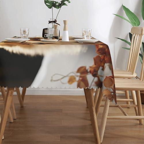 Nappe rectangulaire Poméranie imperméable lavable table cuisine - 3