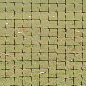 Trigon Sports Soccer Rebounder Training Net, 6 X 12-Feet #TOP4
