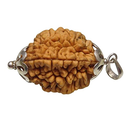 Arihant Gems & Jewels 2 Mukhi/Faced Indian Rudraksha With 925 Sterling Silver Pendant 100% Natural, Original Astrological Round Rudraksha Beads Unisex Both For Men & Women