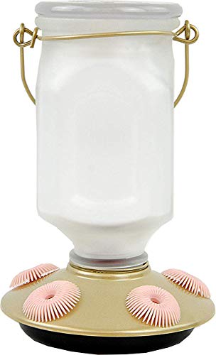 Perky-Pet 9103-2 Sun-Kissed Top-Fill Glass Hummingbird Feeder Gold 22 oz Capacity